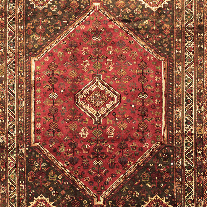 Persian Brown Traditional Rug, tr829brn