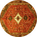 Round Persian Yellow Traditional Rug, tr832yw