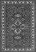 Persian Gray Traditional Rug, tr834gry