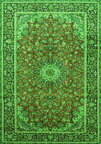 Medallion Green Traditional Rug, tr83grn