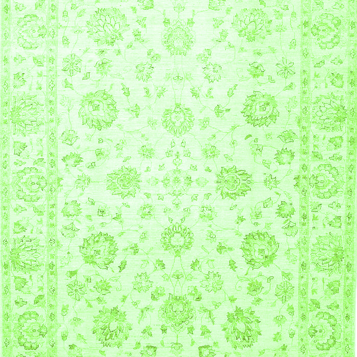 Oriental Green Traditional Rug, tr842grn