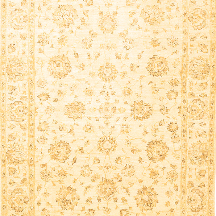Oriental Brown Traditional Rug, tr842brn