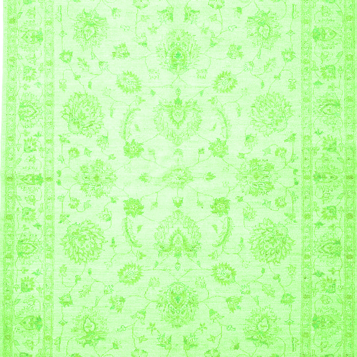 Oriental Green Traditional Rug, tr844grn