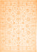 Oriental Orange Traditional Rug, tr844org