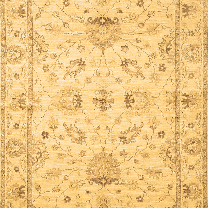 Oriental Brown Traditional Rug, tr845brn