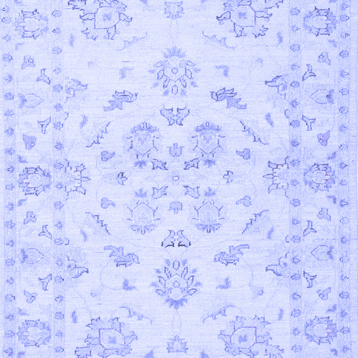 Machine Washable Persian Blue Traditional Rug, wshtr848blu