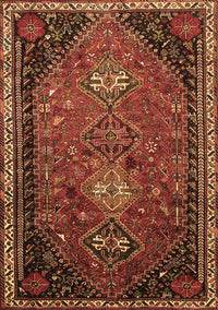 Persian Brown Traditional Rug, tr850brn