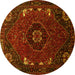 Round Persian Yellow Traditional Rug, tr855yw