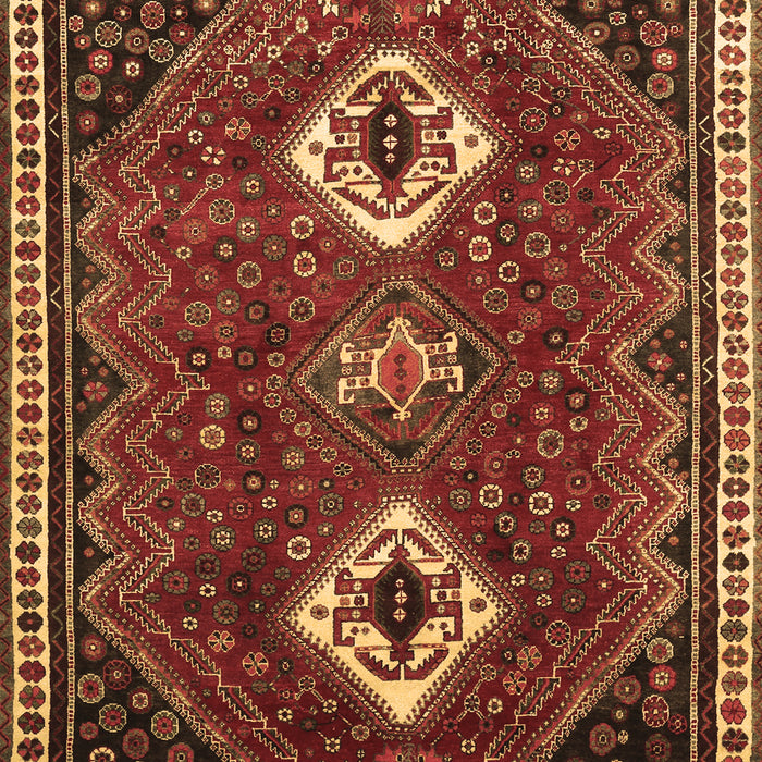 Persian Brown Traditional Rug, tr870brn