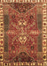 Machine Washable Persian Brown Traditional Rug, wshtr876brn