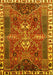 Machine Washable Persian Yellow Traditional Rug, wshtr876yw