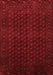 Persian Red Traditional Area Rugs