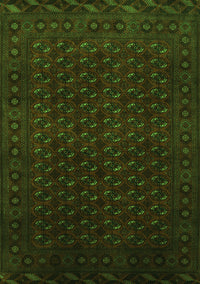 Persian Green Traditional Rug, tr87grn