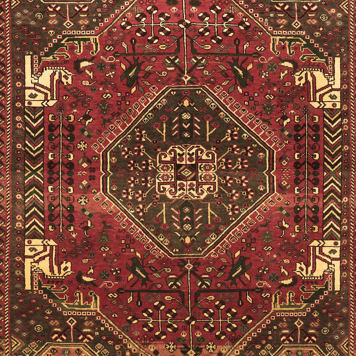Persian Brown Traditional Rug, tr880brn