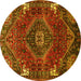 Round Persian Yellow Traditional Rug, tr880yw