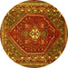 Round Persian Yellow Traditional Rug, tr886yw