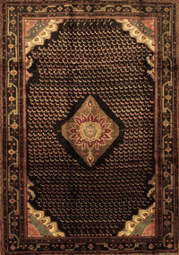 Medallion Brown Traditional Rug, tr88brn