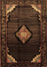 Medallion Brown Traditional Rug, tr88brn