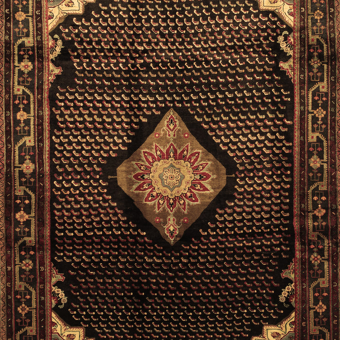 Medallion Brown Traditional Rug, tr88brn