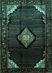 Medallion Turquoise Traditional Rug, tr88turq