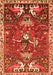 Serging Thickness of Machine Washable Animal Orange Traditional Area Rugs, wshtr894org