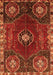 Persian Orange Traditional Rug, tr896org