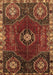 Persian Brown Traditional Rug, tr896brn