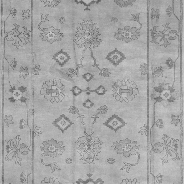 Persian Gray Traditional Rug, tr899gry