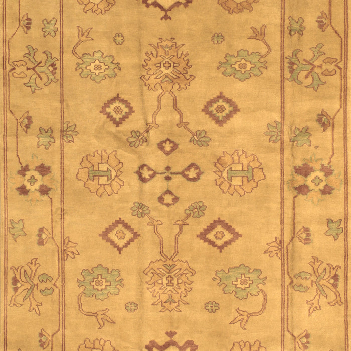 Persian Brown Traditional Rug, tr899brn