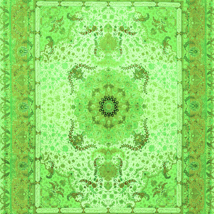 Medallion Green Traditional Rug, tr8grn