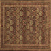 Square Machine Washable Persian Brown Traditional Rug, wshtr900brn