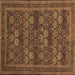 Square Persian Brown Traditional Rug, tr900brn