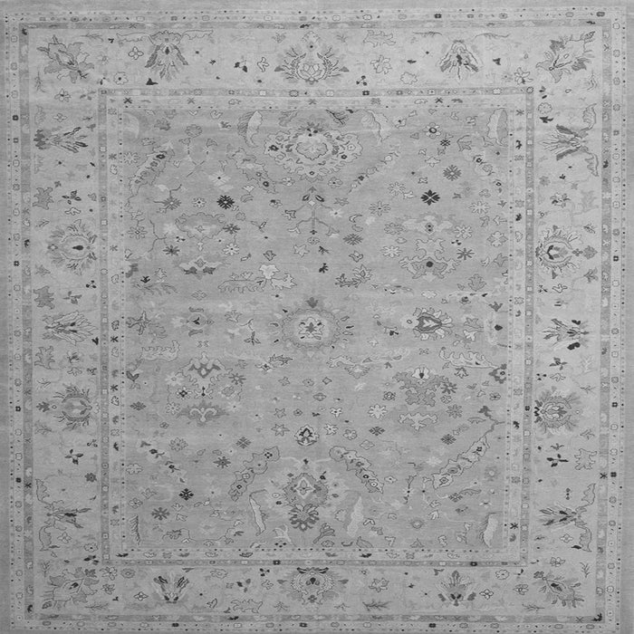 Serging Thickness of Oriental Gray Traditional Rug, tr904gry