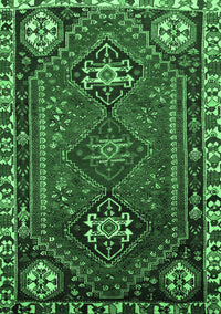 Persian Emerald Green Traditional Rug, tr908emgrn