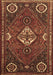 Persian Brown Traditional Rug, tr911brn