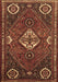 Machine Washable Persian Brown Traditional Rug, wshtr911brn