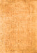 Persian Orange Traditional Rug, tr918org