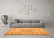 Machine Washable Persian Orange Traditional Area Rugs in a Living Room, wshtr919org