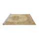 Sideview of Machine Washable Traditional Brown Gold Rug, wshtr92