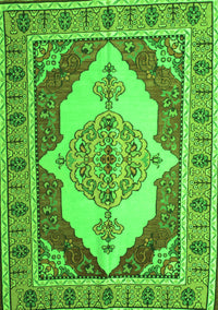 Persian Green Traditional Rug, tr927grn