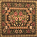 Square Medallion Brown French Rug, tr929brn