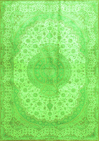 Medallion Green Traditional Rug, tr92grn