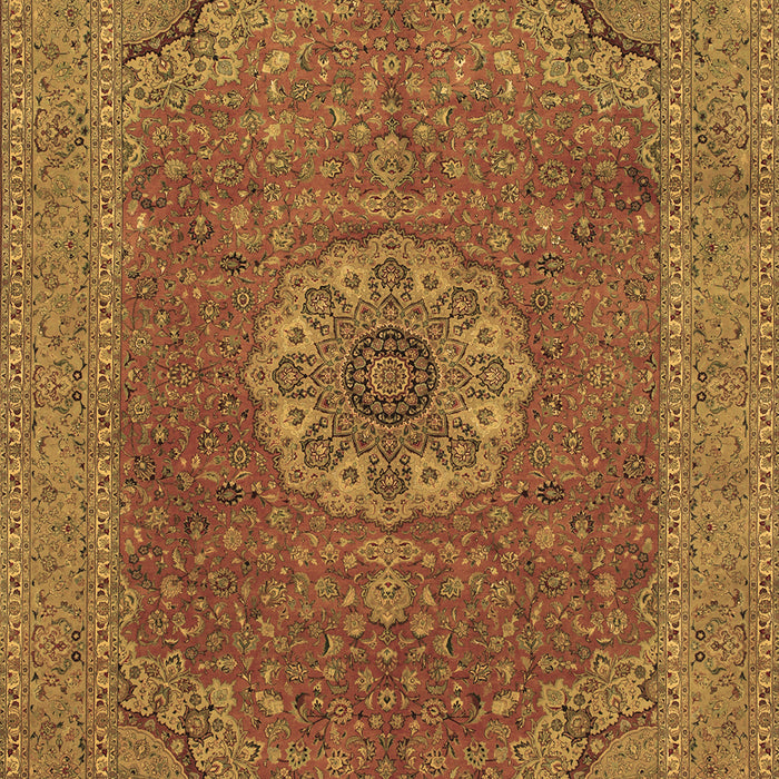 Medallion Brown Traditional Rug, tr93brn