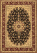 Machine Washable Medallion Brown Traditional Rug, wshtr945brn