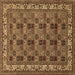 Square Persian Brown Traditional Rug, tr948brn