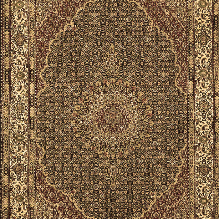 Machine Washable Medallion Brown Traditional Rug, wshtr949brn