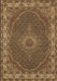 Medallion Brown Traditional Rug, tr949brn