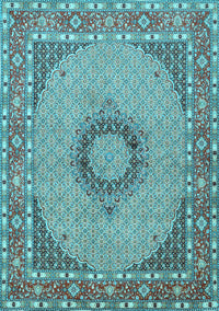 Medallion Light Blue Traditional Rug, tr952lblu