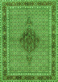 Persian Green Traditional Rug, tr953grn