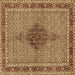 Square Machine Washable Persian Brown Traditional Rug, wshtr953brn